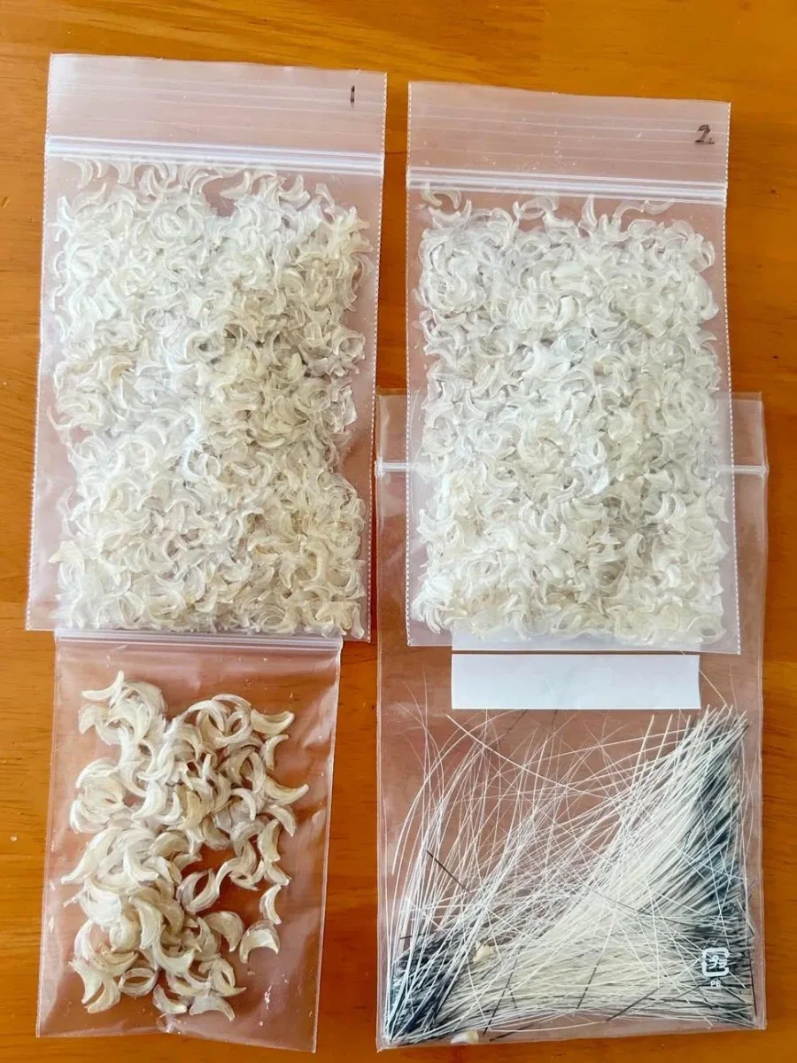 반려 고양이 흔적을 모으는 사람.jpg - 이미지 2