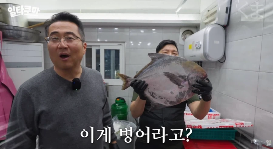 4.2kg인데도 대물 소리 듣는 생선 - 이미지 5