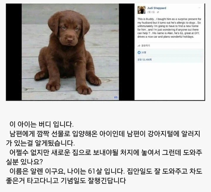 새로운 보호자 찾는 글