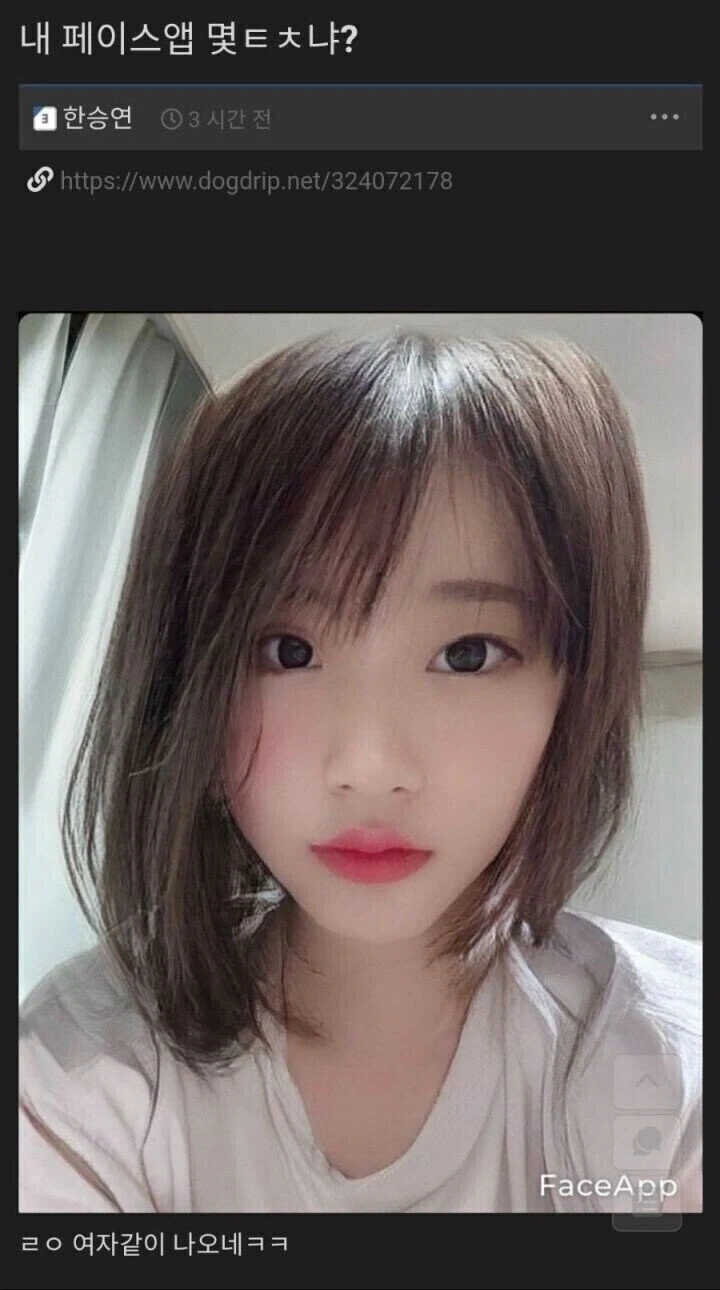 TS필터 써본사람들의 후기