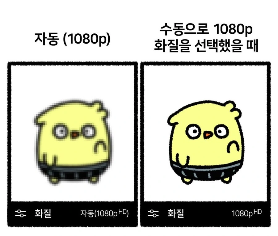 유튜브 화질 특.manga