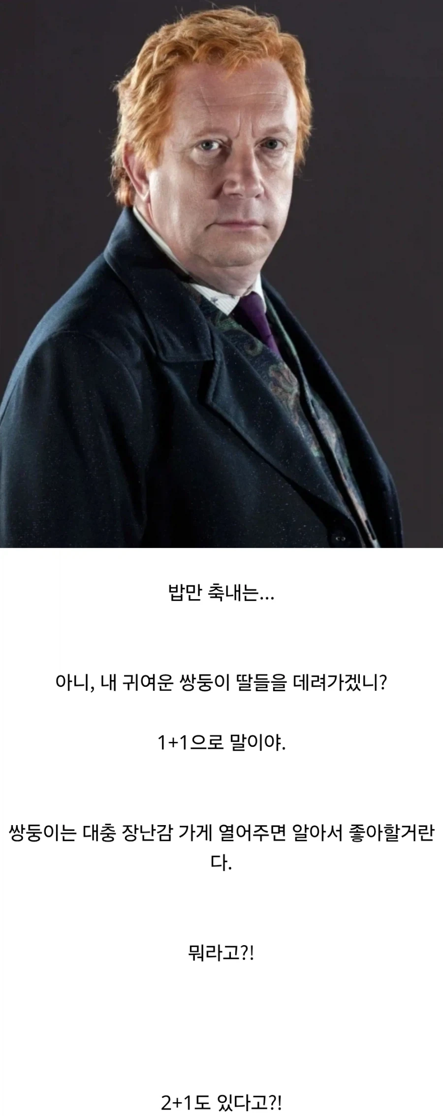 해리포터)위즐리가의 머글 문화 존중.jpg - 이미지 3