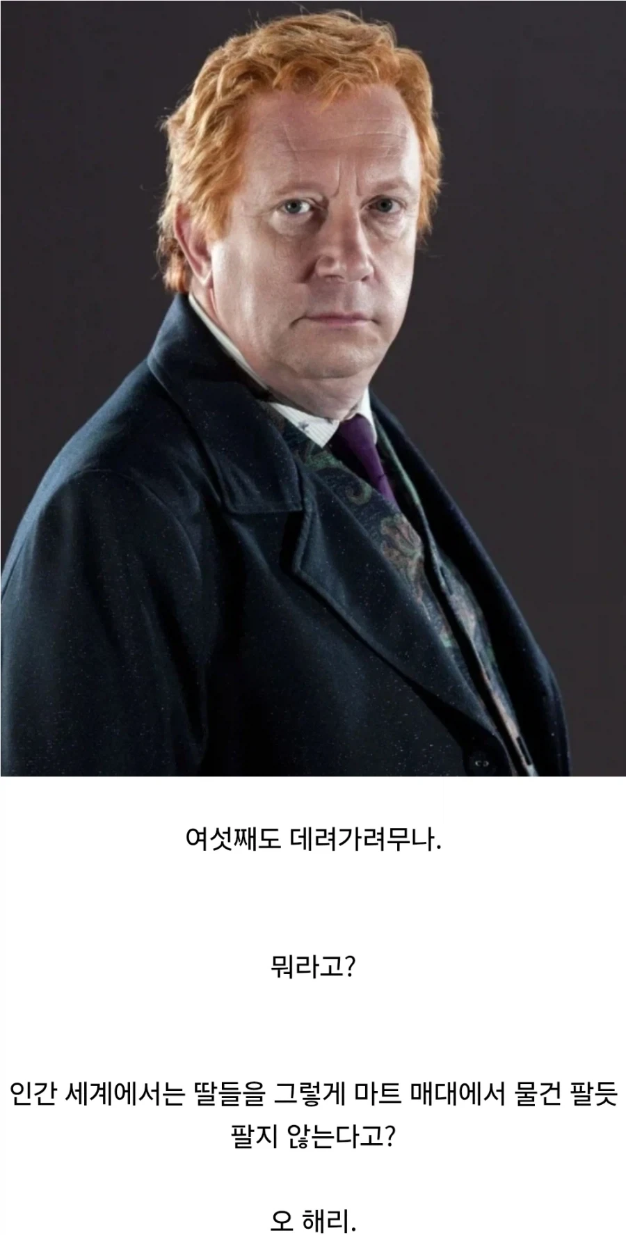 해리포터)위즐리가의 머글 문화 존중.jpg - 이미지 6