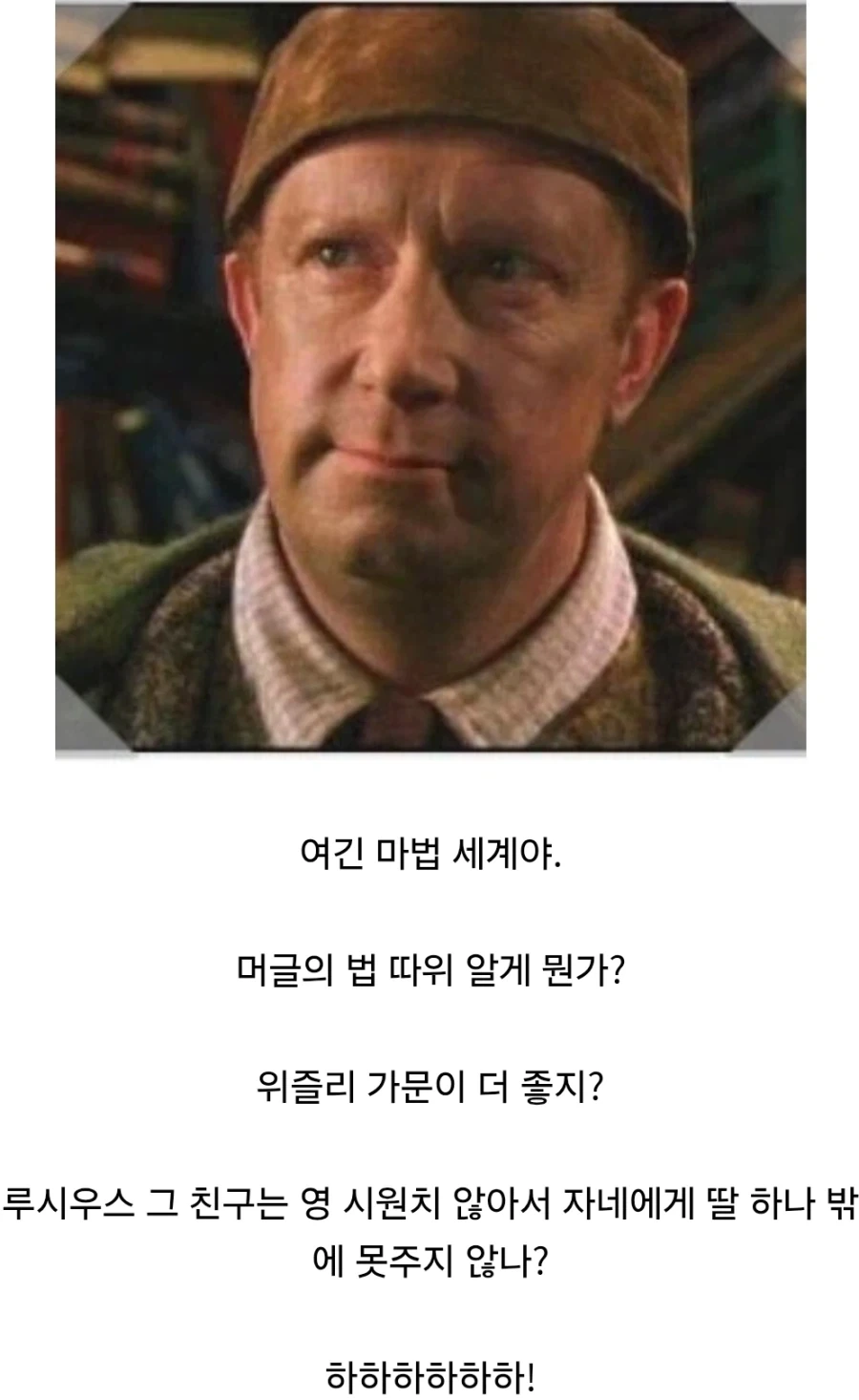해리포터)위즐리가의 머글 문화 존중.jpg - 이미지 7