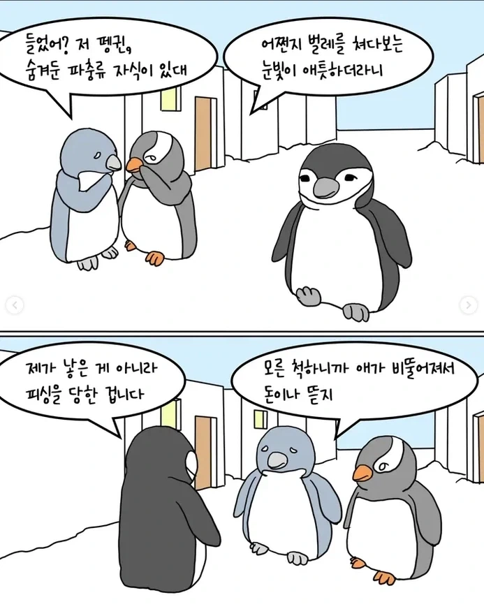 남극 펭귄 문자사기 대소동 - 이미지 7