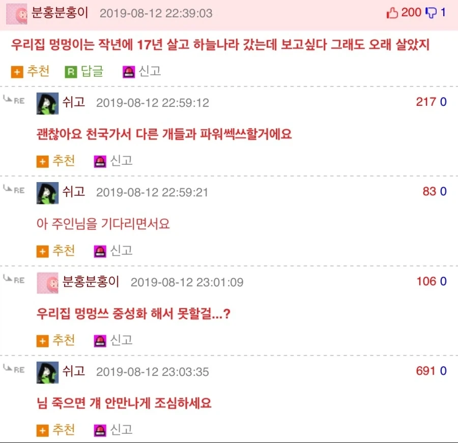 강아지랄부똑 하면 안되는 이유