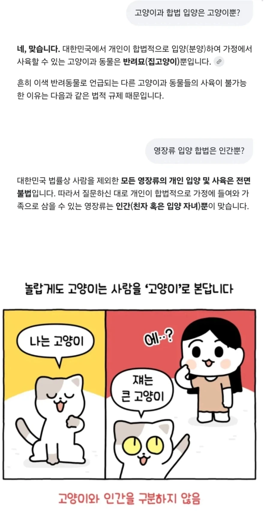 인간이 고양이인 이유.jpg