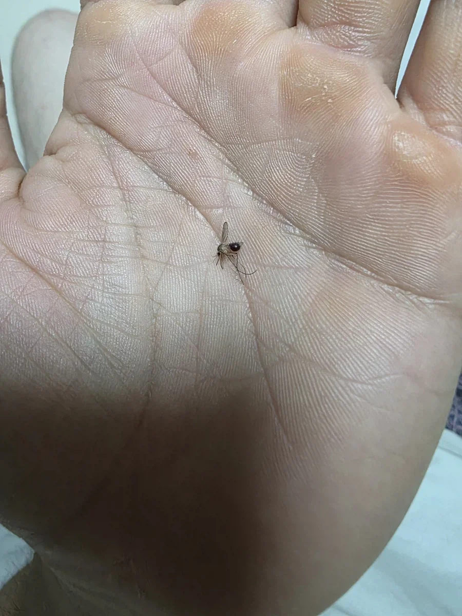 제 아내임