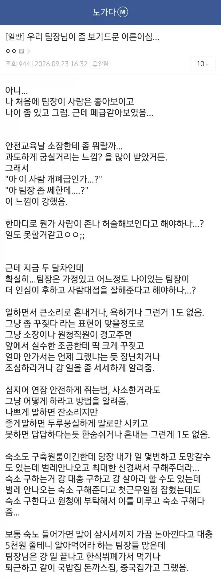 노가다갤 S급 팀장.