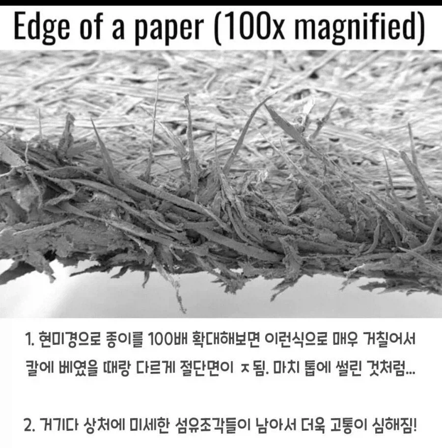 종이에 베이면 아픈 이유.jpg