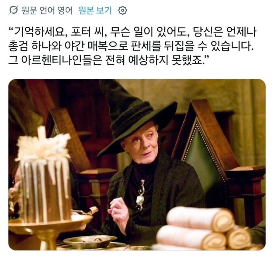 해리포터) 이상한 밈이 붙어버린 맥고나걸 교수