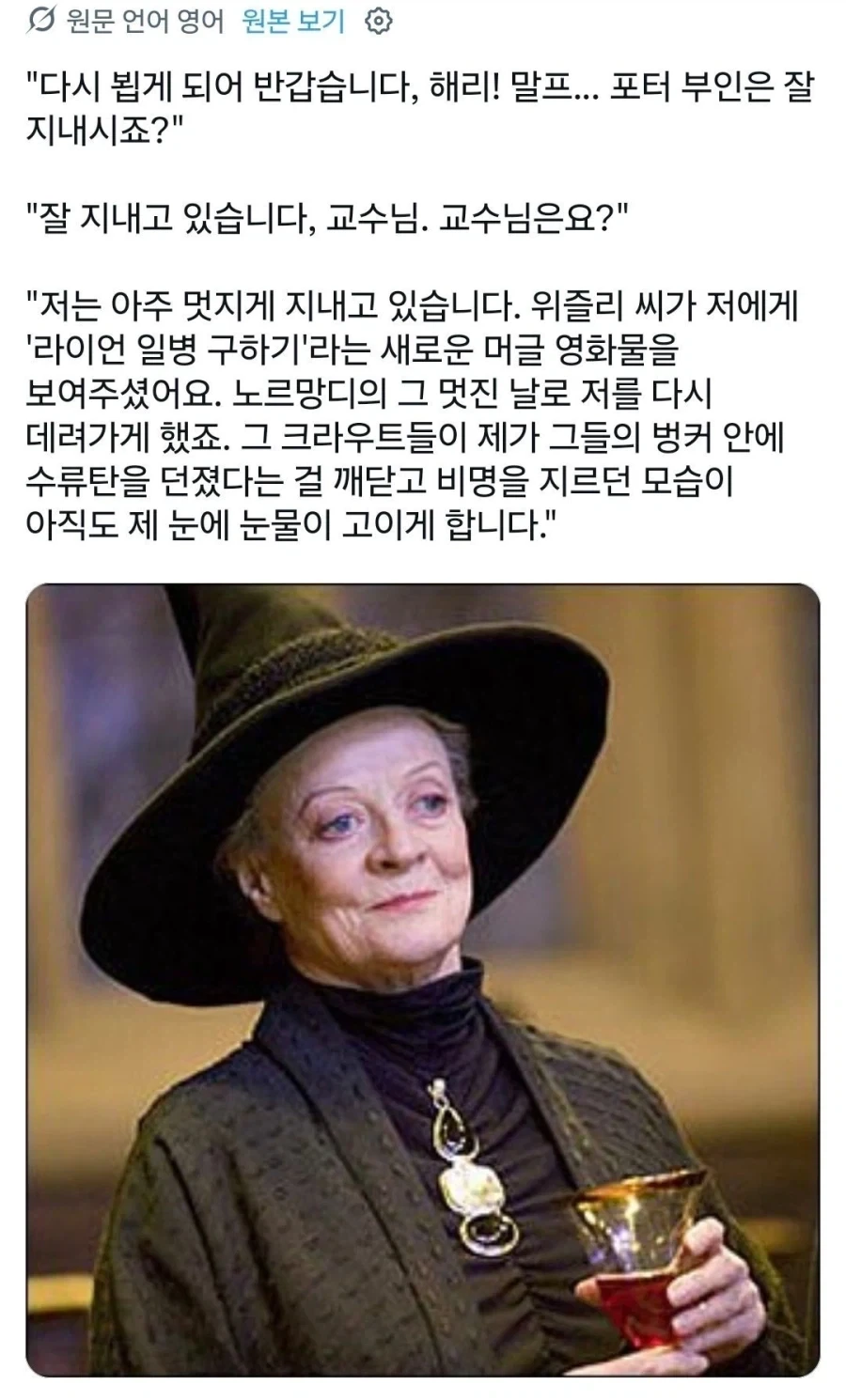 해리포터) 이상한 밈이 붙어버린 맥고나걸 교수 - 이미지 2