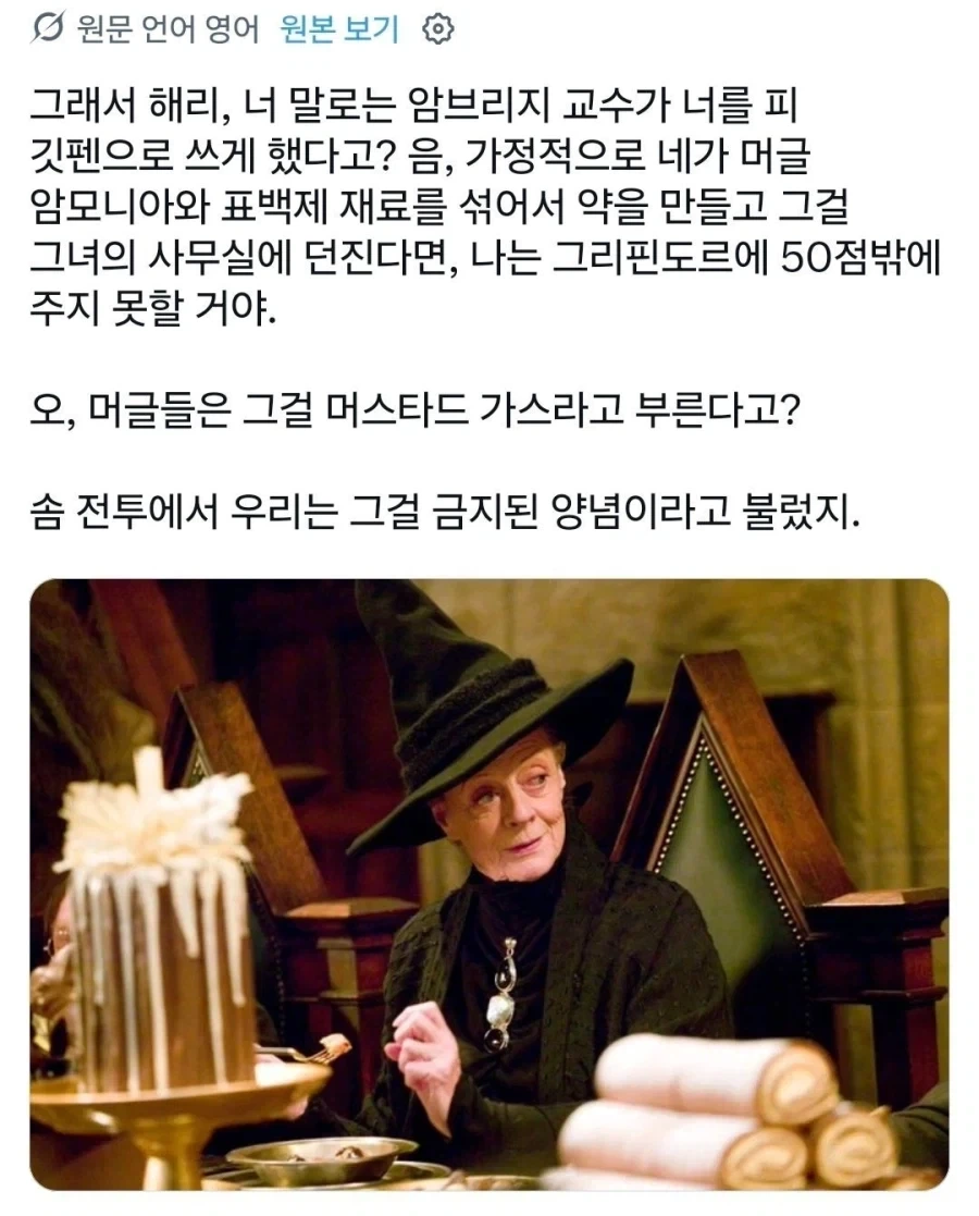 해리포터) 이상한 밈이 붙어버린 맥고나걸 교수 - 이미지 3