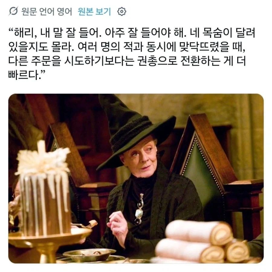 해리포터) 이상한 밈이 붙어버린 맥고나걸 교수 - 이미지 4