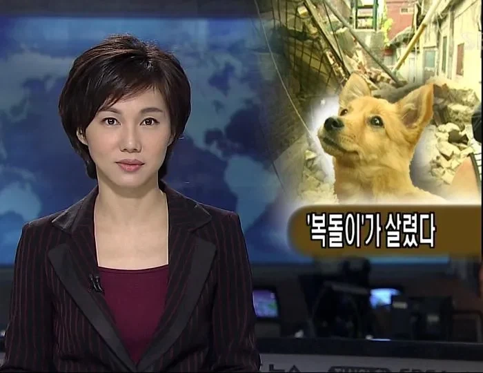 근데 복돌이가 진짜 많긴 하더라 - 이미지 3