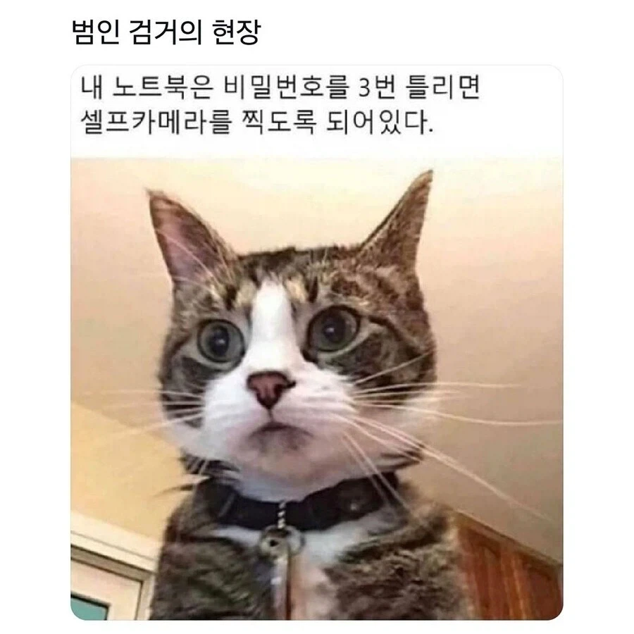 범인(?) 검거 현장.jpg