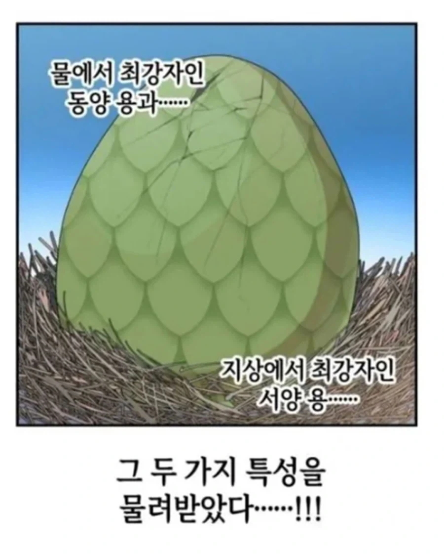 동양 용 vs 서양 용 - 이미지 9