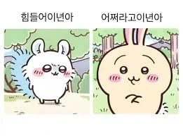 치이카와)??:어쩌라고 이년아