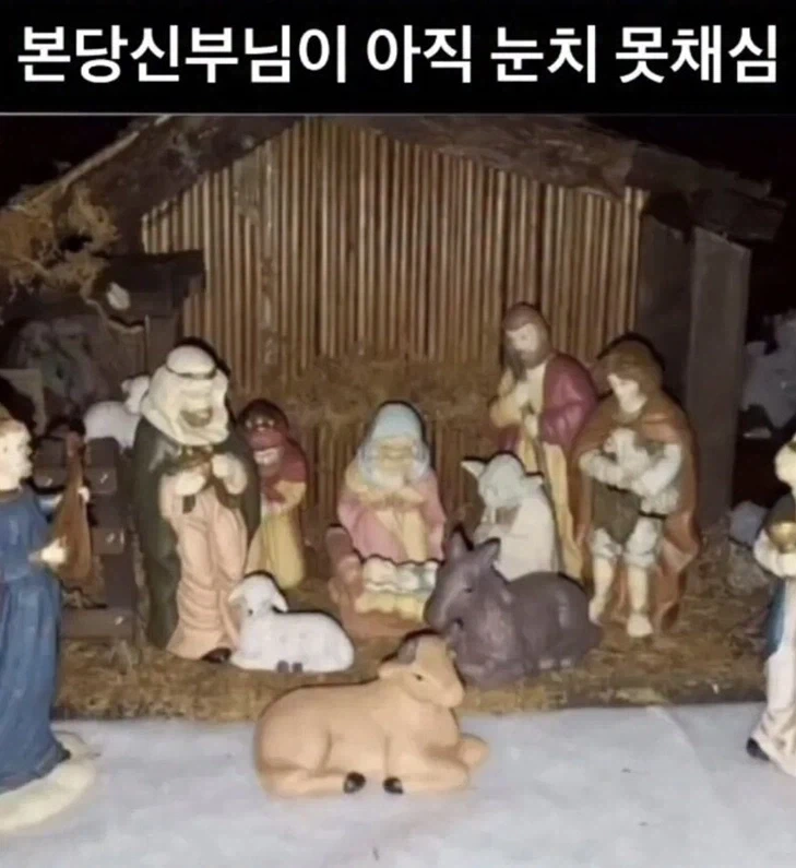 크리스마스에는 포스가 함께 하길...