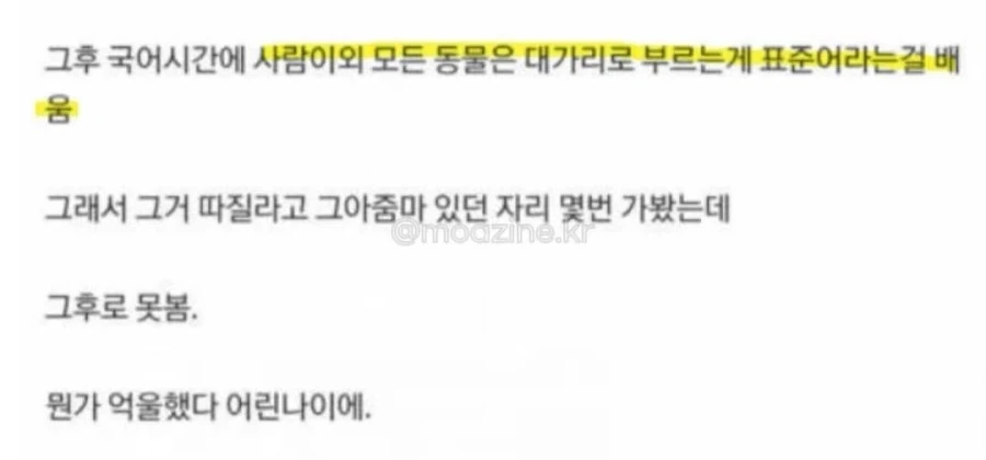 생선 사러 갔다가 욕하지 말라고 들은 사람.jpg - 이미지 4
