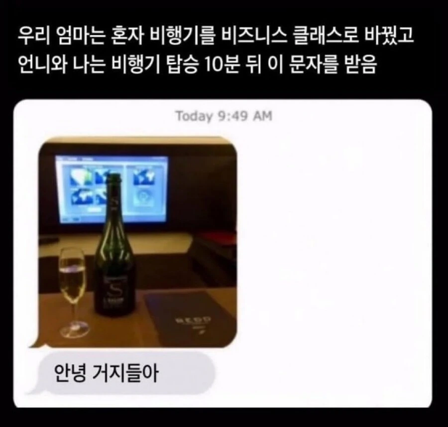 잘봐라 거지들아.img