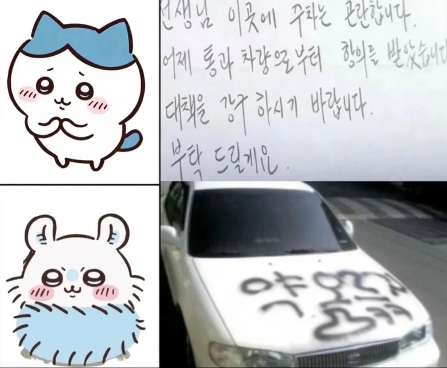 치이카와 캐릭터별 불법주차 대응법.jpg - 이미지 2