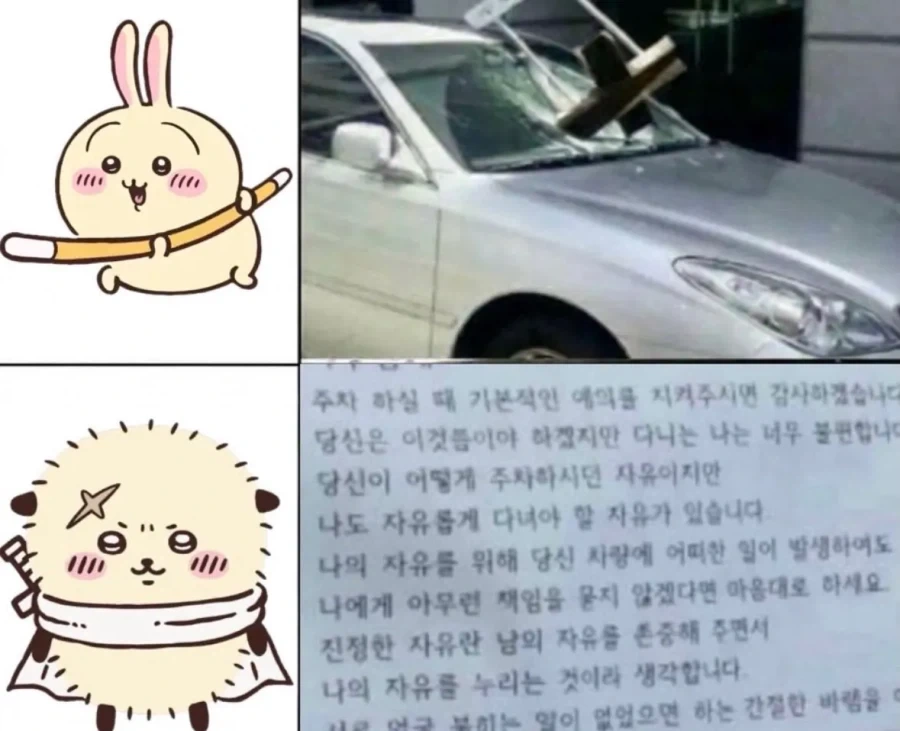 치이카와 캐릭터별 불법주차 대응법.jpg - 이미지 3