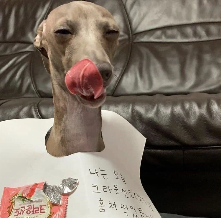세상에서 제일 맛있어보이는 크라운산도 후기