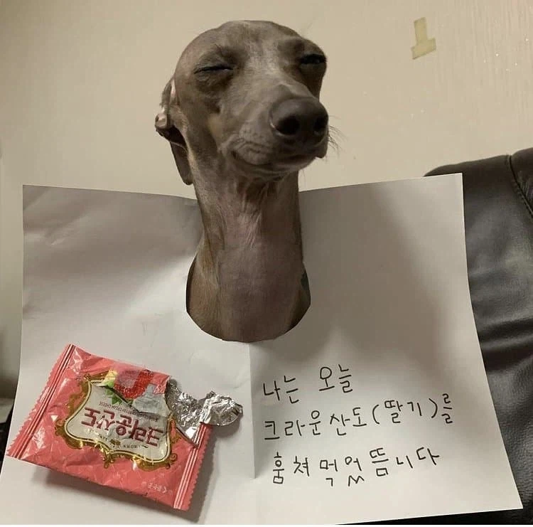 세상에서 제일 맛있어보이는 크라운산도 후기 - 이미지 2