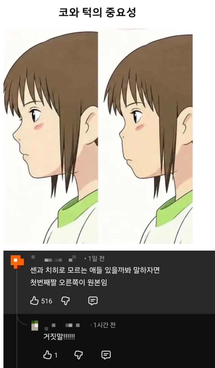 코와 턱의 중요성 요약.jpg