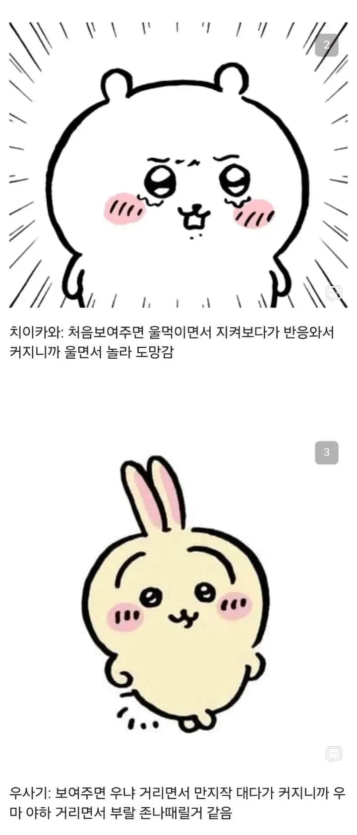 먼작귀한테 자지를 보여준 만붕이 - 이미지 2