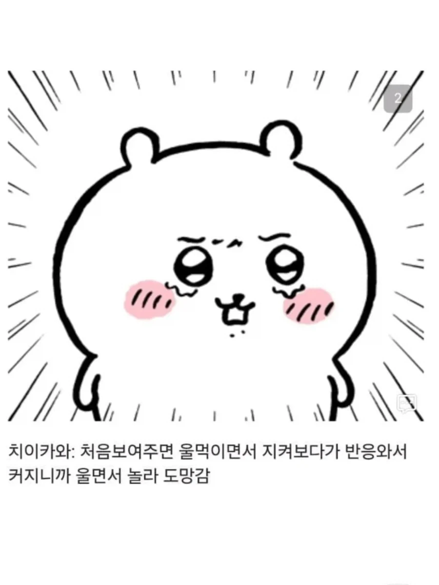 먼작귀별 쥬지 보여줄 때 반응 차이.jpg - 이미지 2