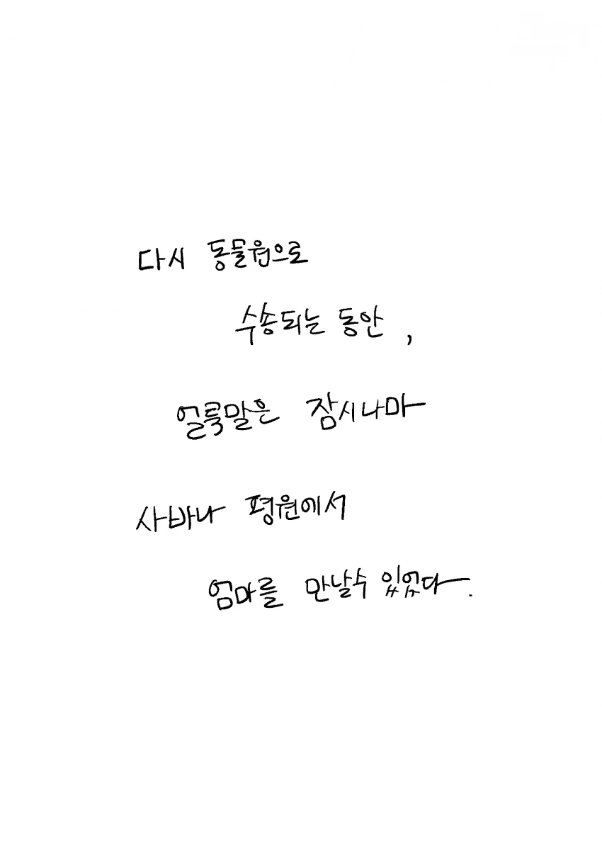 어린이대공원을 탈출한 얼룩말 만화 - 이미지 9