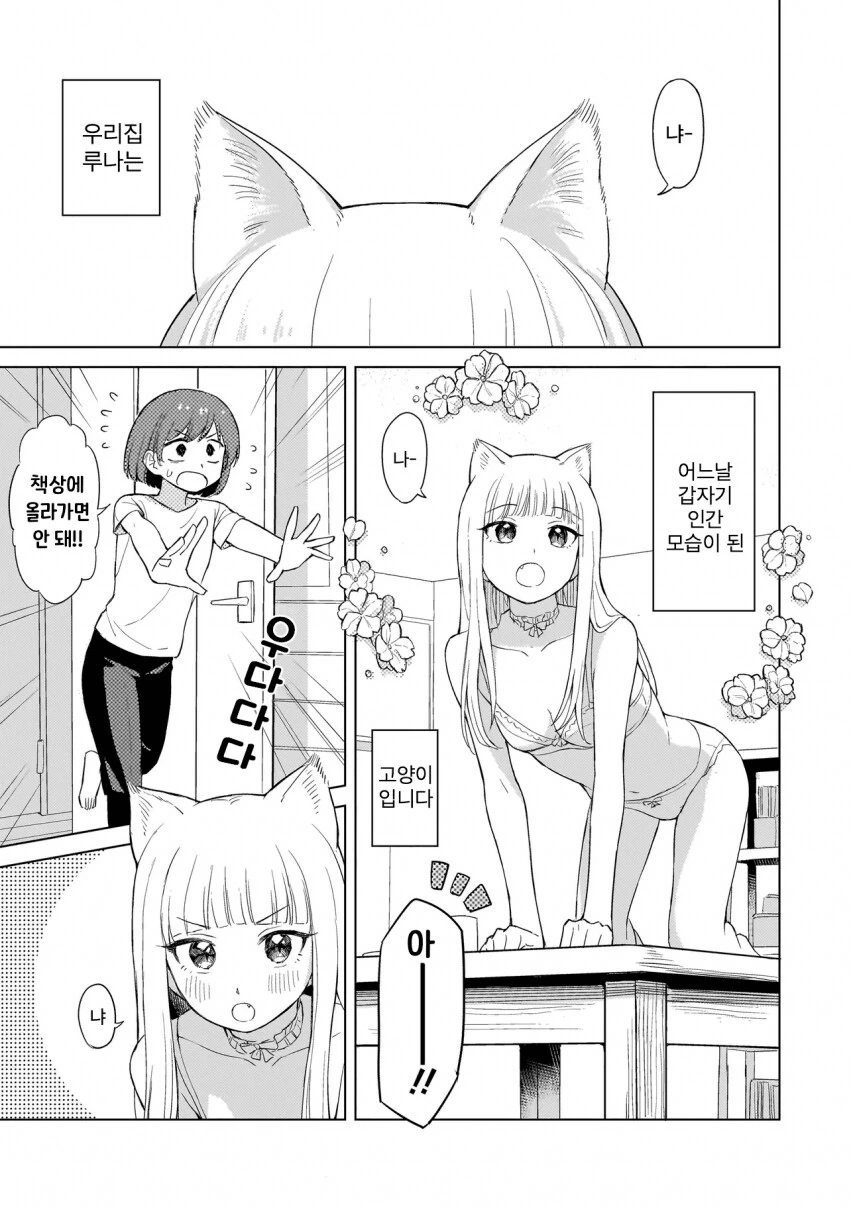 고양이를 키워야 하는 이유.Manhwa - 이미지 2