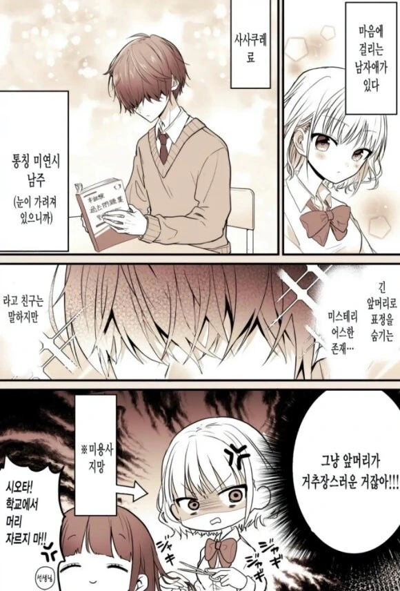 앞머리가 긴 남자애가 거슬리는 만화 - 이미지 2