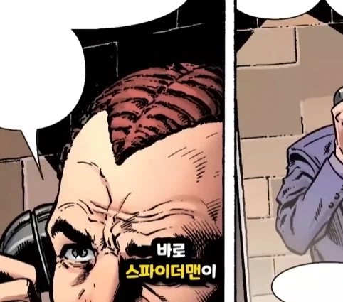 스파이더맨이 행복해지면 생기는 일.jpg - 이미지 25