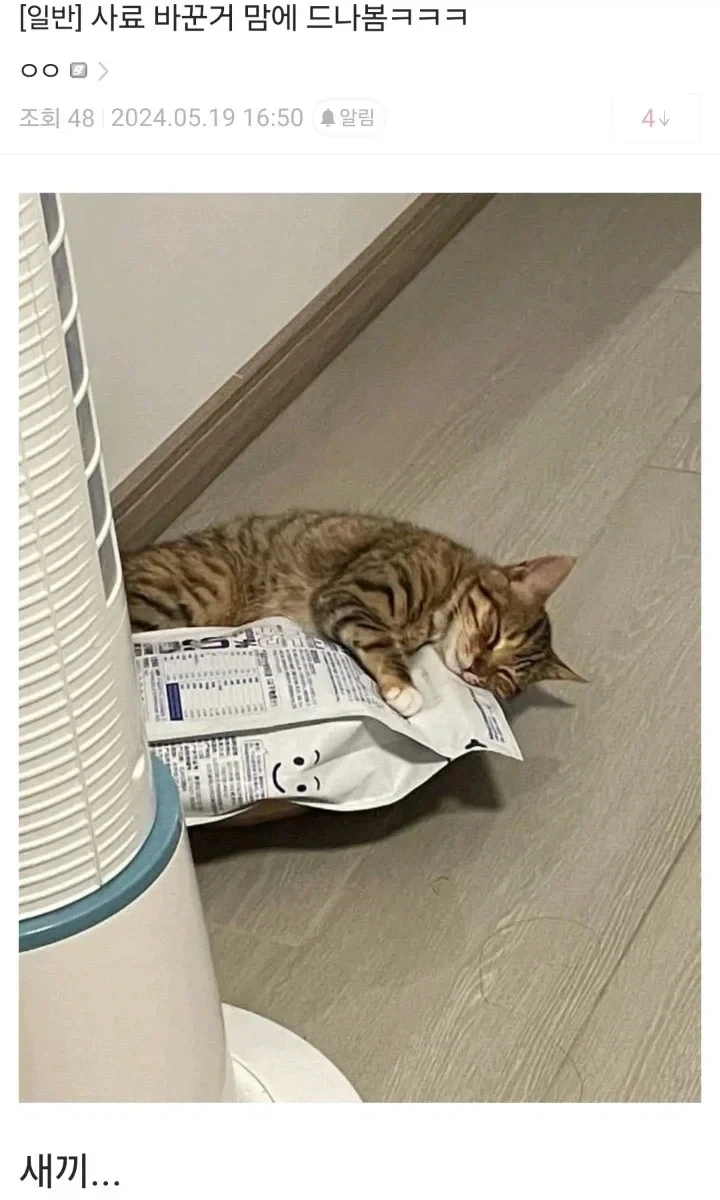 냥집사 만족도 최상