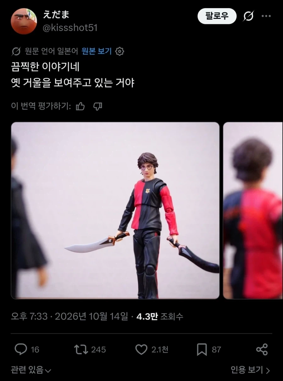 해리포터) 해미야.twit