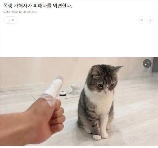 폭행 가해자가 피해자를 외면.jpg