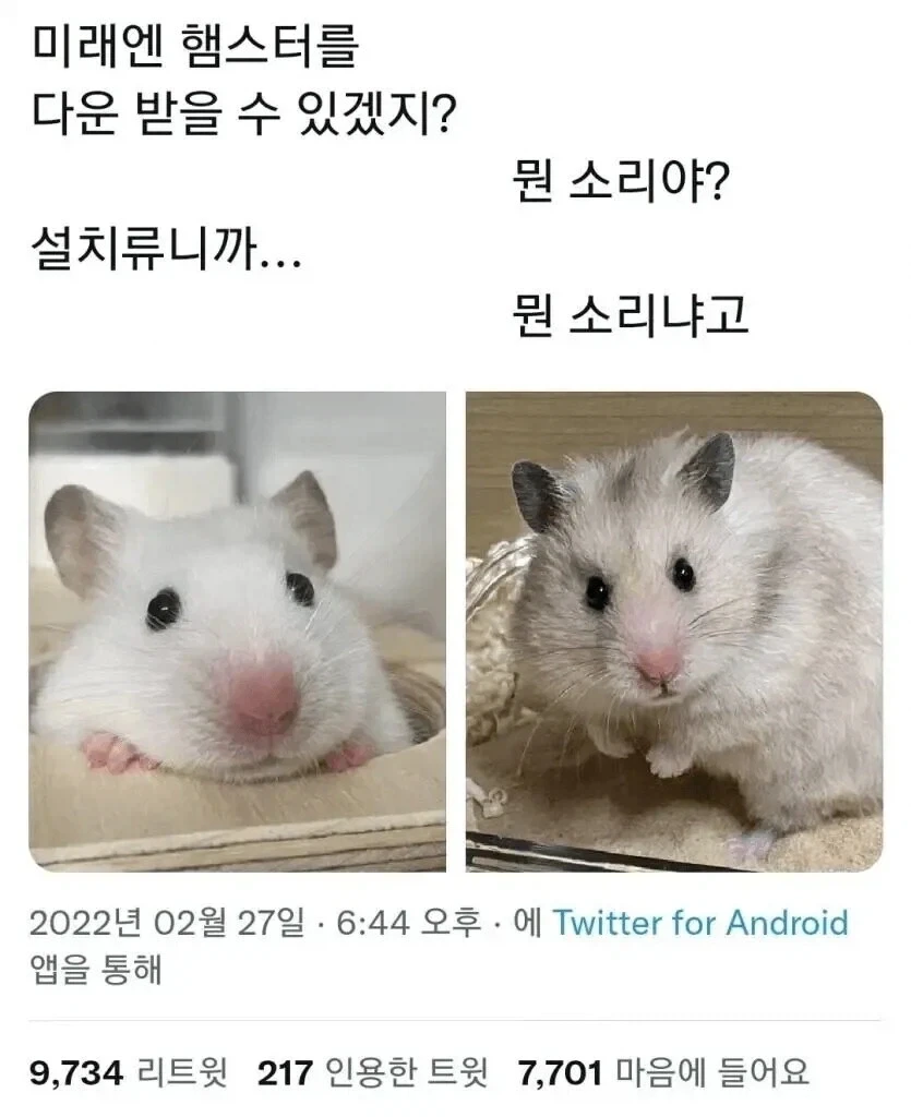 미래엔 햄스터를 다운로드 받을 수 있겠지??.jpg