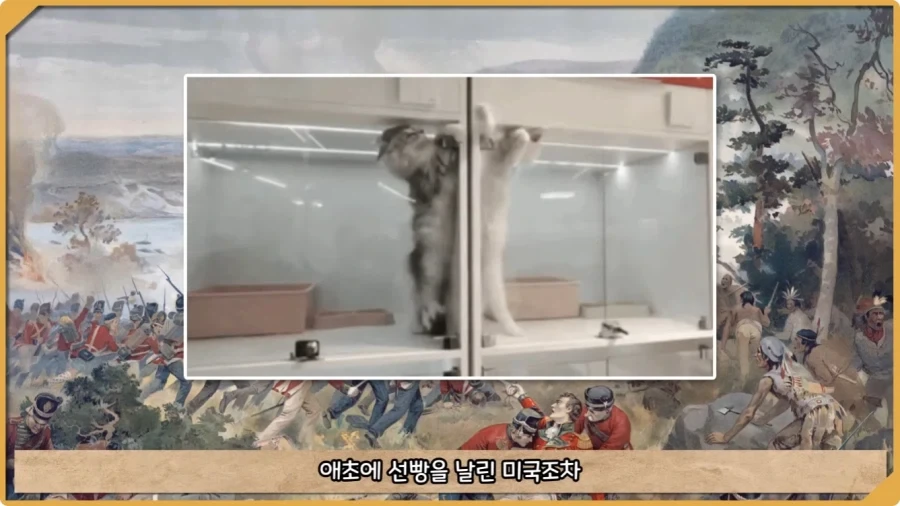 미국이 저지른 가장 황당한 요새 건설 실수.jpg - 이미지 10