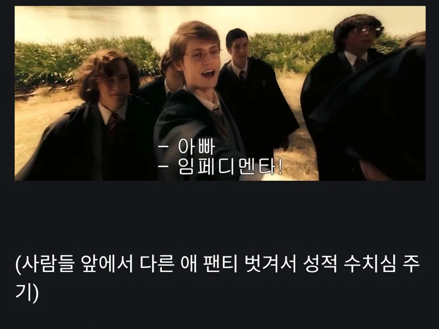 해리포터)시리우스:"친구를 배신하느니 차라리 죽었어야지!" - 이미지 3