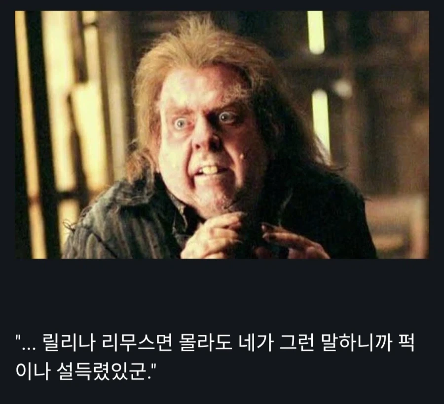 해리포터)시리우스:"친구를 배신하느니 차라리 죽었어야지!" - 이미지 5