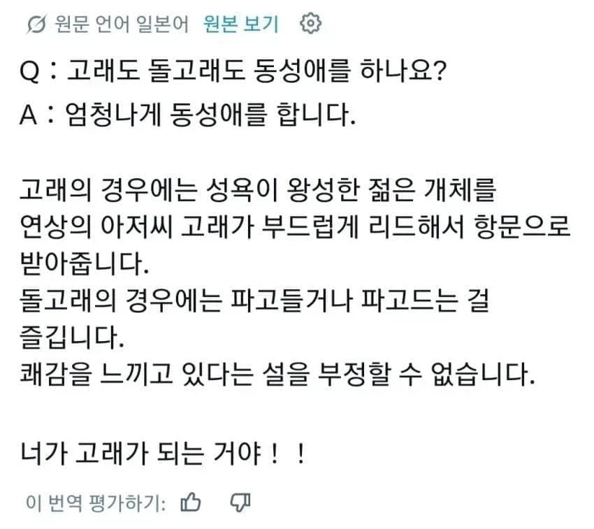 바다의 겐고로가 쓴 트윗
