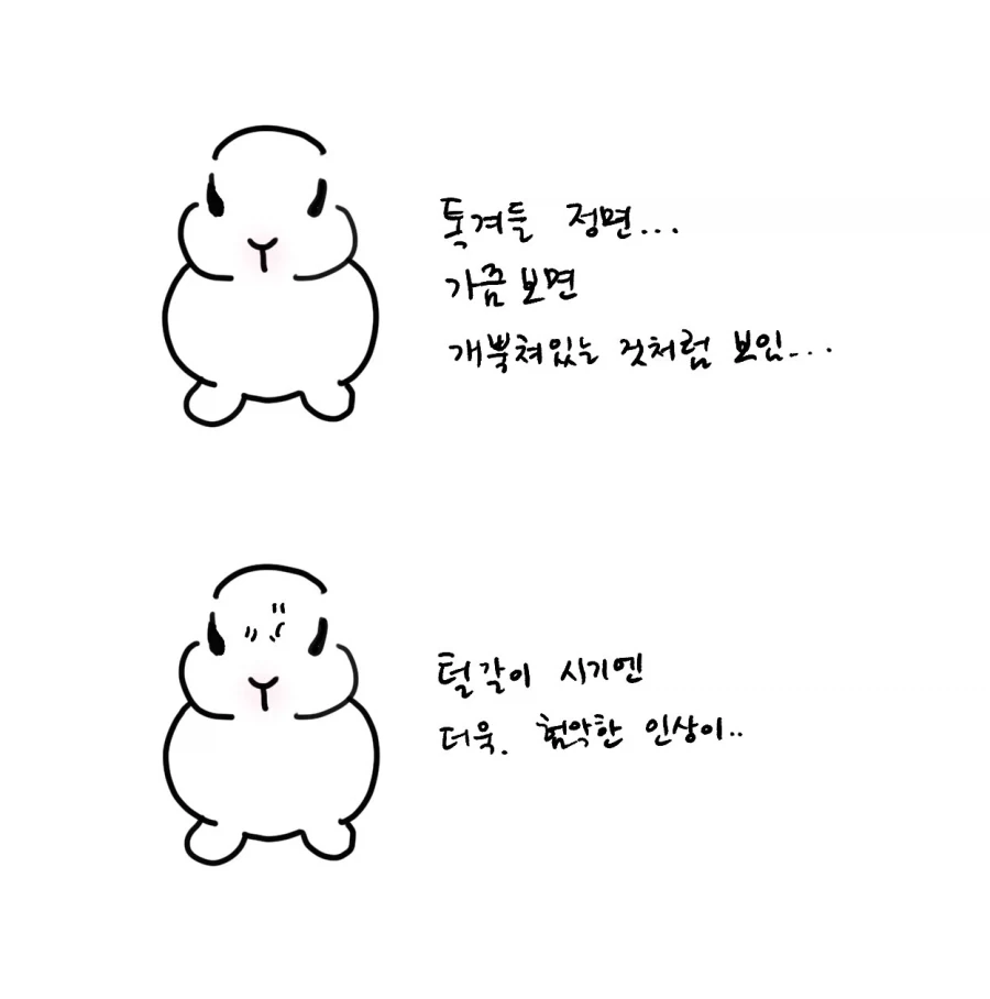 초식동물의 특징