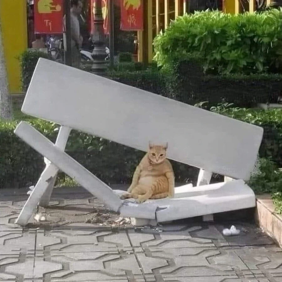 삶이 그대를 속일지라도