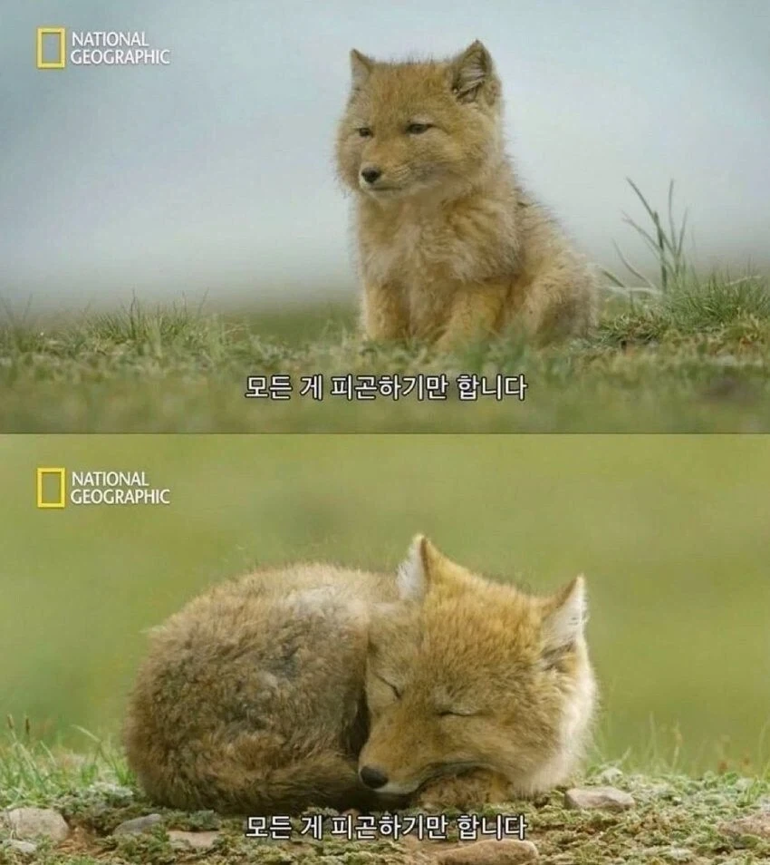출퇴근하는 직장인 특
