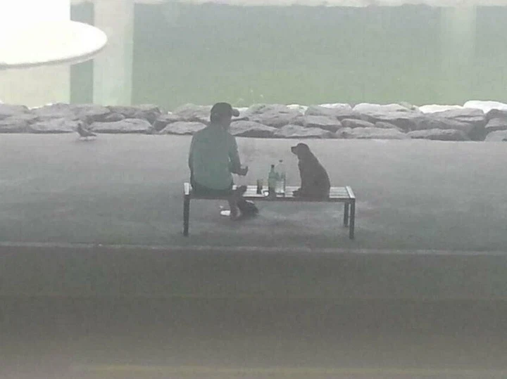 대한민국 퓰리처상 모음