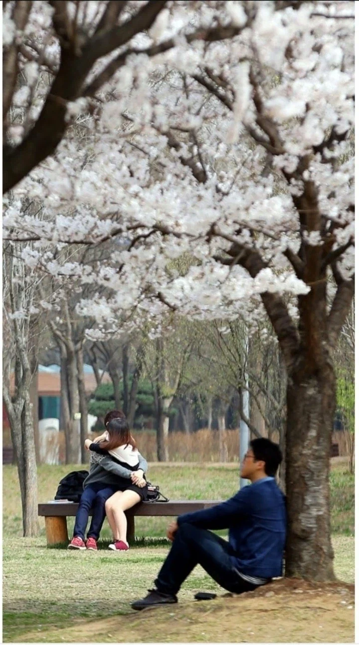 대한민국 퓰리처상 모음 - 이미지 9