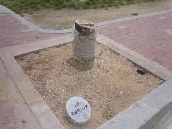 대한민국 퓰리처상 모음 - 이미지 11
